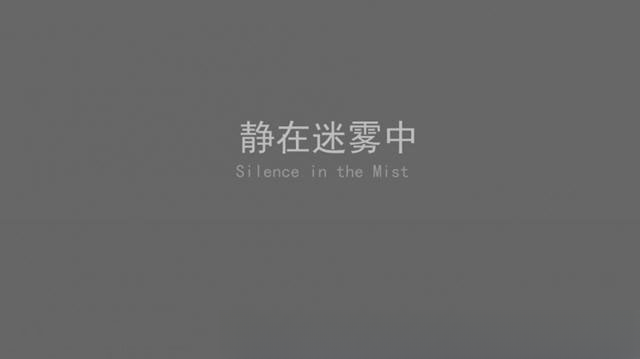 静在迷雾中预览图