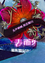 表面2:难忍杂声单机版2026 官方版