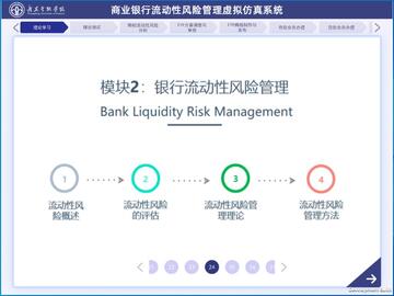 SMT币深度盘口与流动性风险示意图