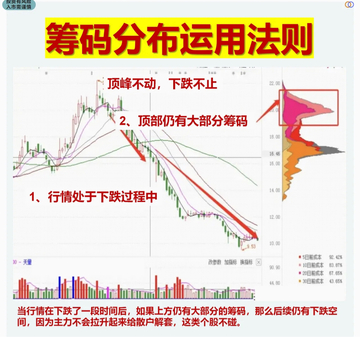 TRUE币链上持仓数据与筹码分布图,关键词为“TRUE币最新价格”