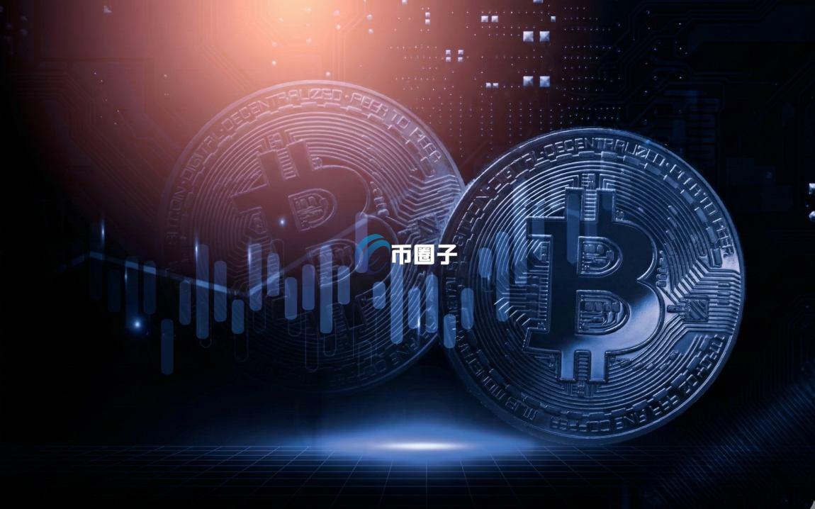 BONE币销毁记录与黑洞地址查询结果