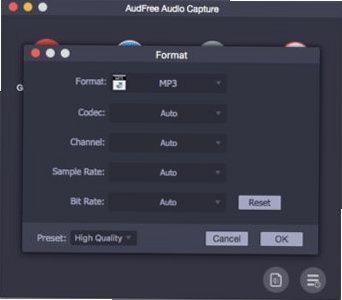 AudFree Audio Capture Mac电脑版截图2