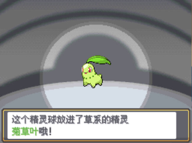 口袋妖怪 灵魂之银游戏画面