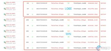 黑U与被冻结USDT概念对比图解,关键词“什么是黑USDT”