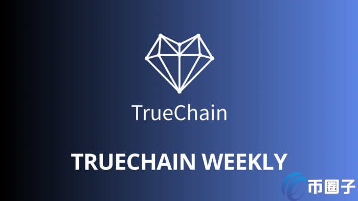 初恋币TURT社群讨论热度截图,TRUE币价格走势