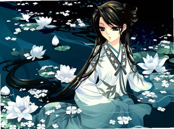 红楼梦galgame安卓版手游v1.0官方版截图1