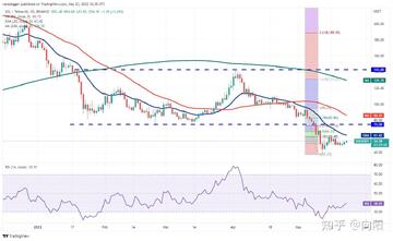 ����Ա����XRP��ADA���ֻ��Ҽ۸�����,���ֻ��Ҽ۸����
