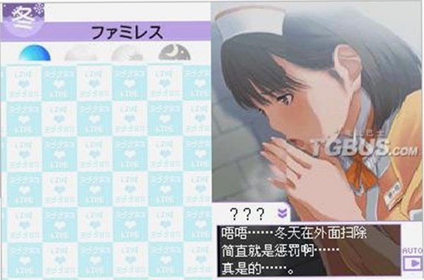 NDS爱相随游戏电脑版截图1