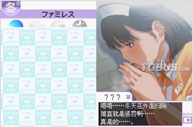 NDS爱相随游戏电脑版截图2
