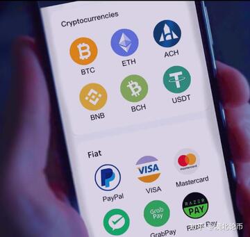 加密稳定币与法币支付通道对比图表,Cardano背书的稳定币合作方Coti能否撬动加密支付生态