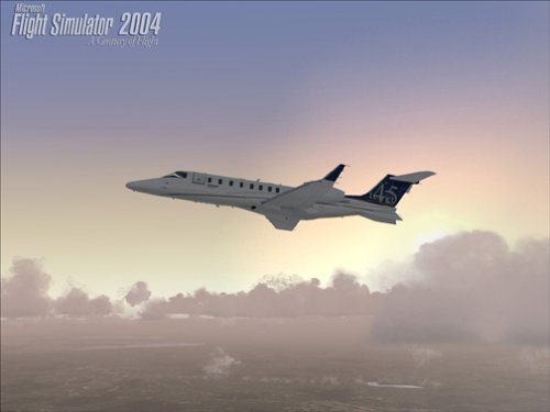 模拟飞行2004截图3