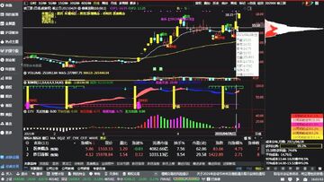 FreiExchange交易所 现货交易界面 K线图 挂单操作