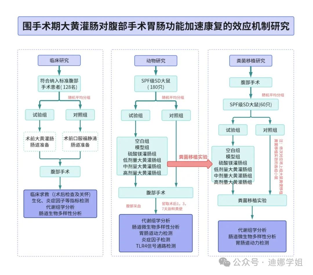 MNTP币项目方最新的技术进展路线图海报,MNTP是什么币种?MNTP币怎么样