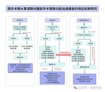 MNTP币项目方最新的技术进展路线图海报,MNTP是什么币种?MNTP币怎么样