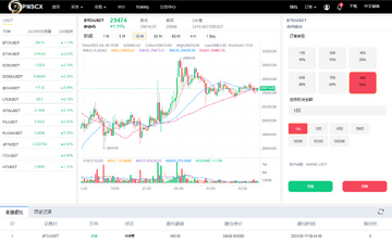������USDT���׶Խ��棬ά��˹��