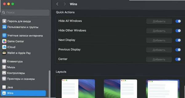 Wins Mac版 高性能Mac窗口分屏管理工具截图3