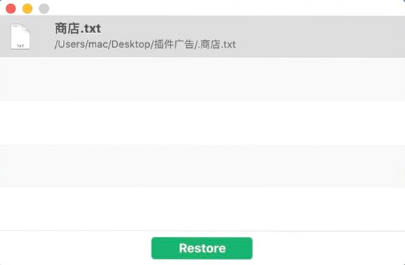 Invisible for Mac截图2