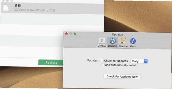 Invisible for Mac截图3