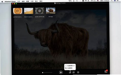 WidsMob Viewer for Mac电脑版截图3