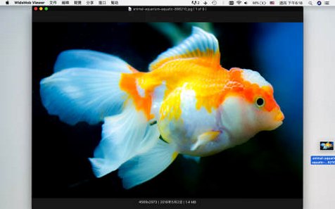 WidsMob Viewer for Mac电脑版 WidsMob Viewer for Mac电脑版
