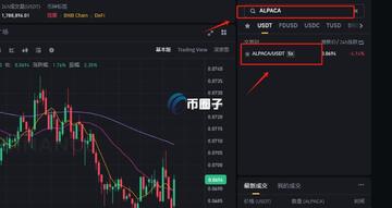 2026年Alpaca Finance平台实际操作界面中文教程,ALPACA币有什么用