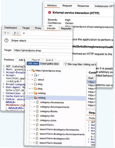Burp Suite Mac版 Web渗透测试安全工具截图2