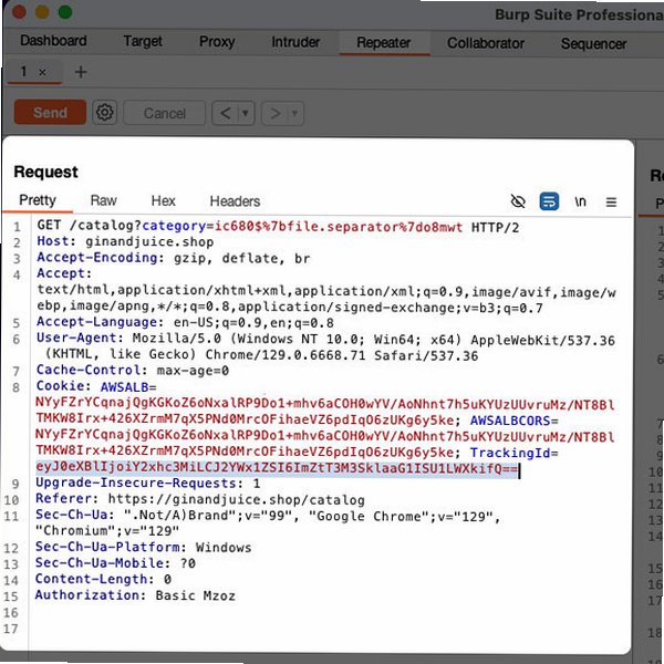 Burp Suite Mac版 Web渗透测试安全工具截图1