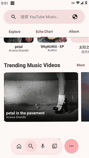 NullMusic手机开源最新版5.2.89安卓版截图2