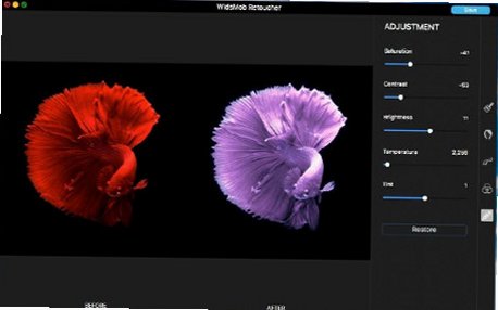 WidsMob AI Retoucher Mac版 AI智能照片修图增强工具截图1