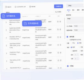 金舟文件批量重命名软件 For Mac Mac文件批量改名处理工具截图2
