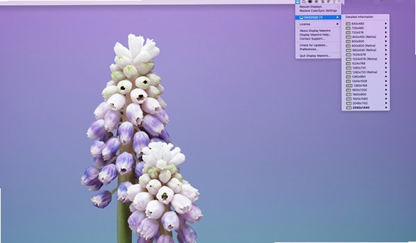 Display Maestro for Mac(显示器增强型设置工具)截图3
