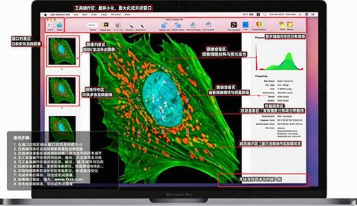 CoLocalizer Pro for Mac电脑版 CoLocalizer Pro for Mac电脑版