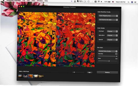 WidsMob FilmPack for Mac电脑版截图4