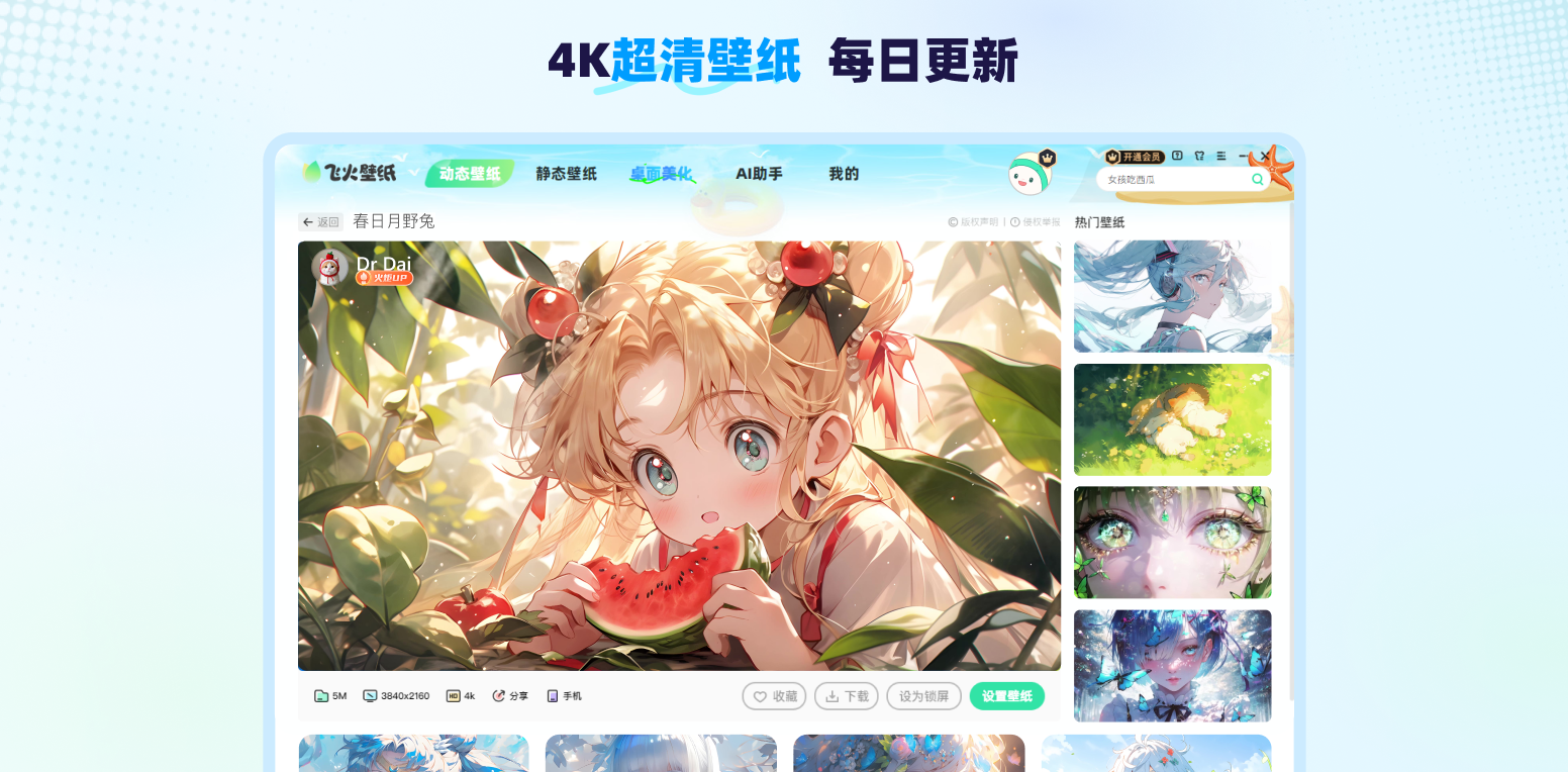 飞火动态壁纸故障排查