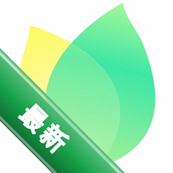 飞火动态壁纸下载
