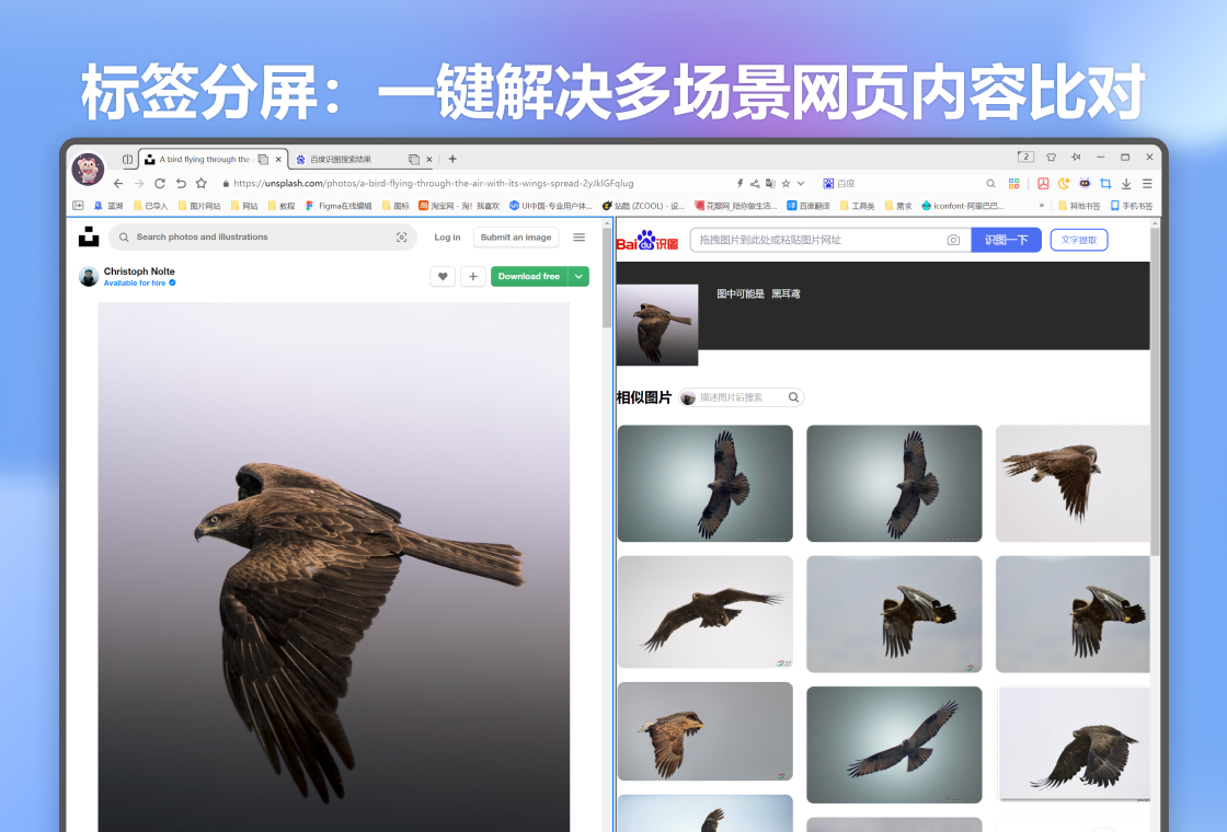 小智双核浏览器电脑版截图4