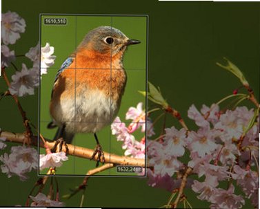 Corel AfterShot Pro for Mac中文版截图1
