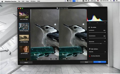 WidsMob Denoise for Mac(全能图像降噪软件)截图1