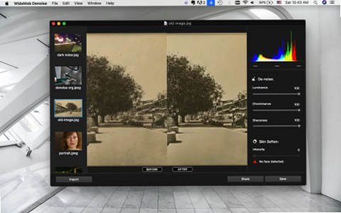 WidsMob Denoise for Mac(全能图像降噪软件)截图3