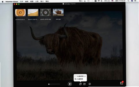 WidsMob Image Viewer for Mac���԰��ͼ4