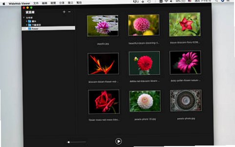 WidsMob Image Viewer for Mac���԰��ͼ2
