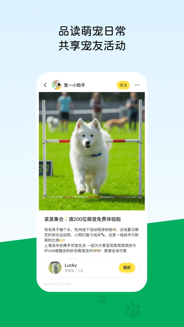 宠一功能界面