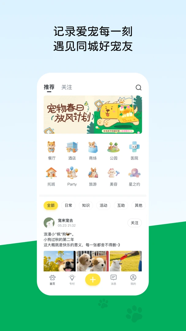宠一预览图