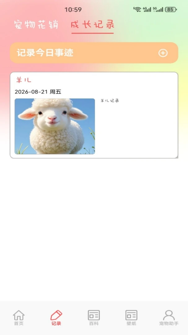 ����-���ְ�׿����ɫ����