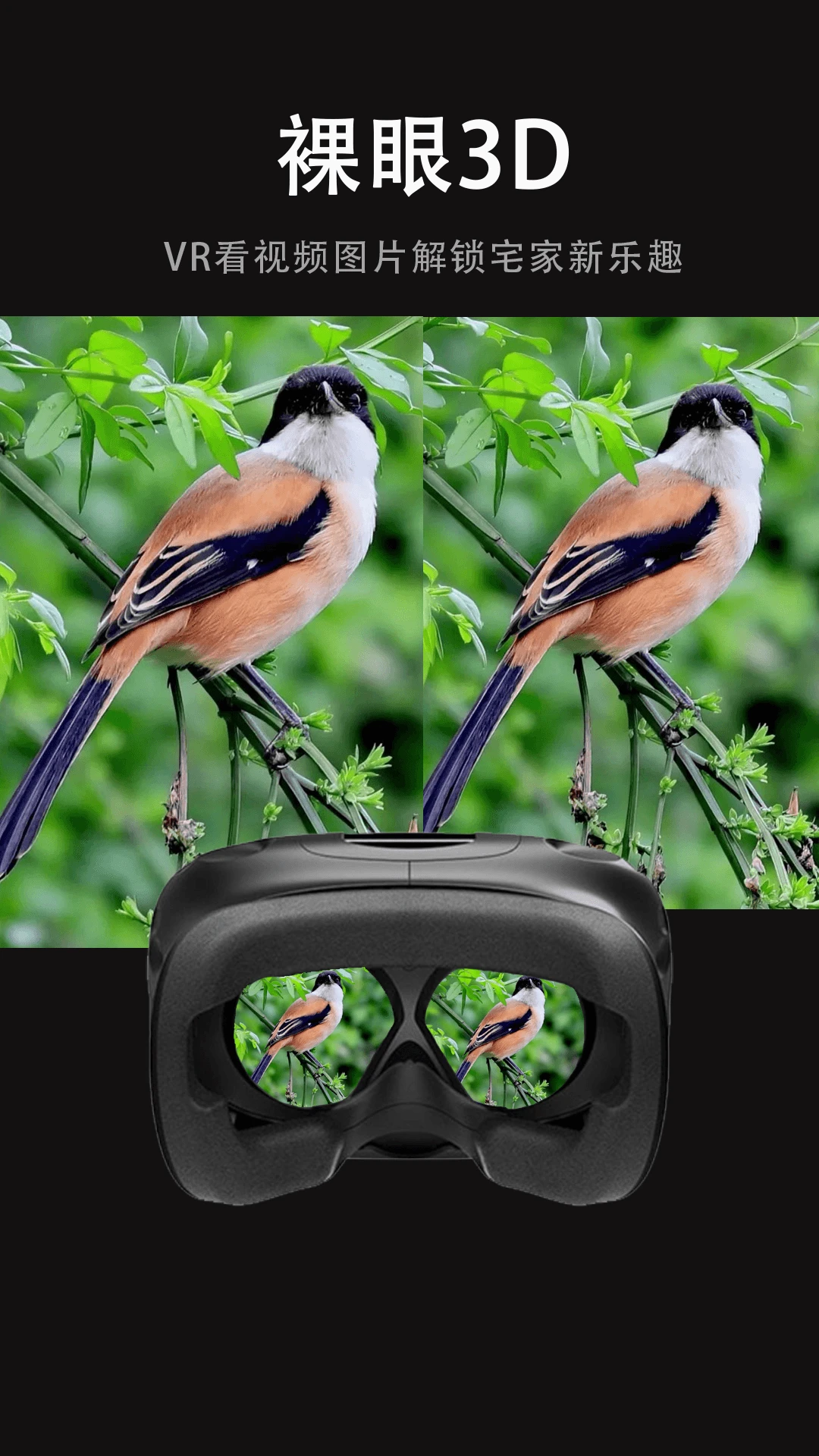 VR播放器播放界面