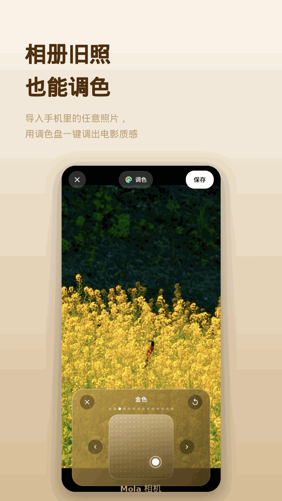 Mola相机-AI 构图 · 实时调色v2.2安卓版截图4