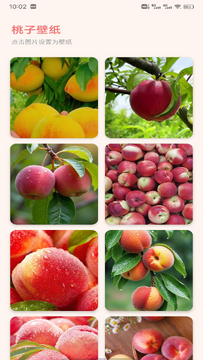 ����ˮ����װ����