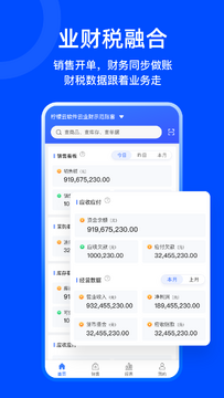 柠檬云业财安卓版界面截图