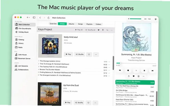 Radiccio Mac版 菜单栏音量精细控制工具截图1