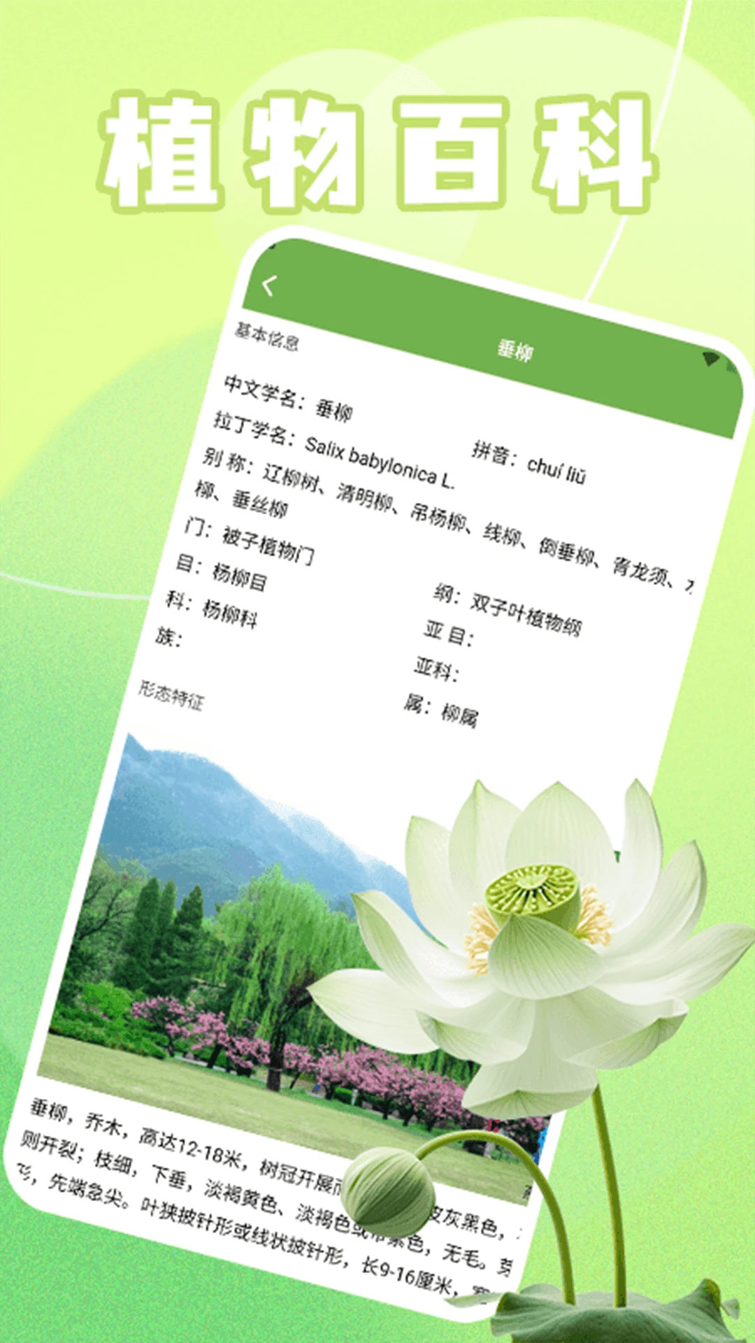 青青草堂极速版青青草堂1.5 安卓版截图3